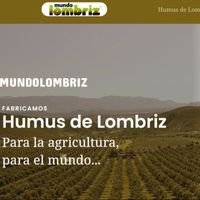 mundolombriz